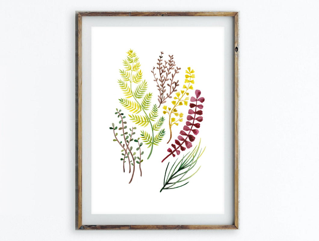 Foliage Print - 5x7